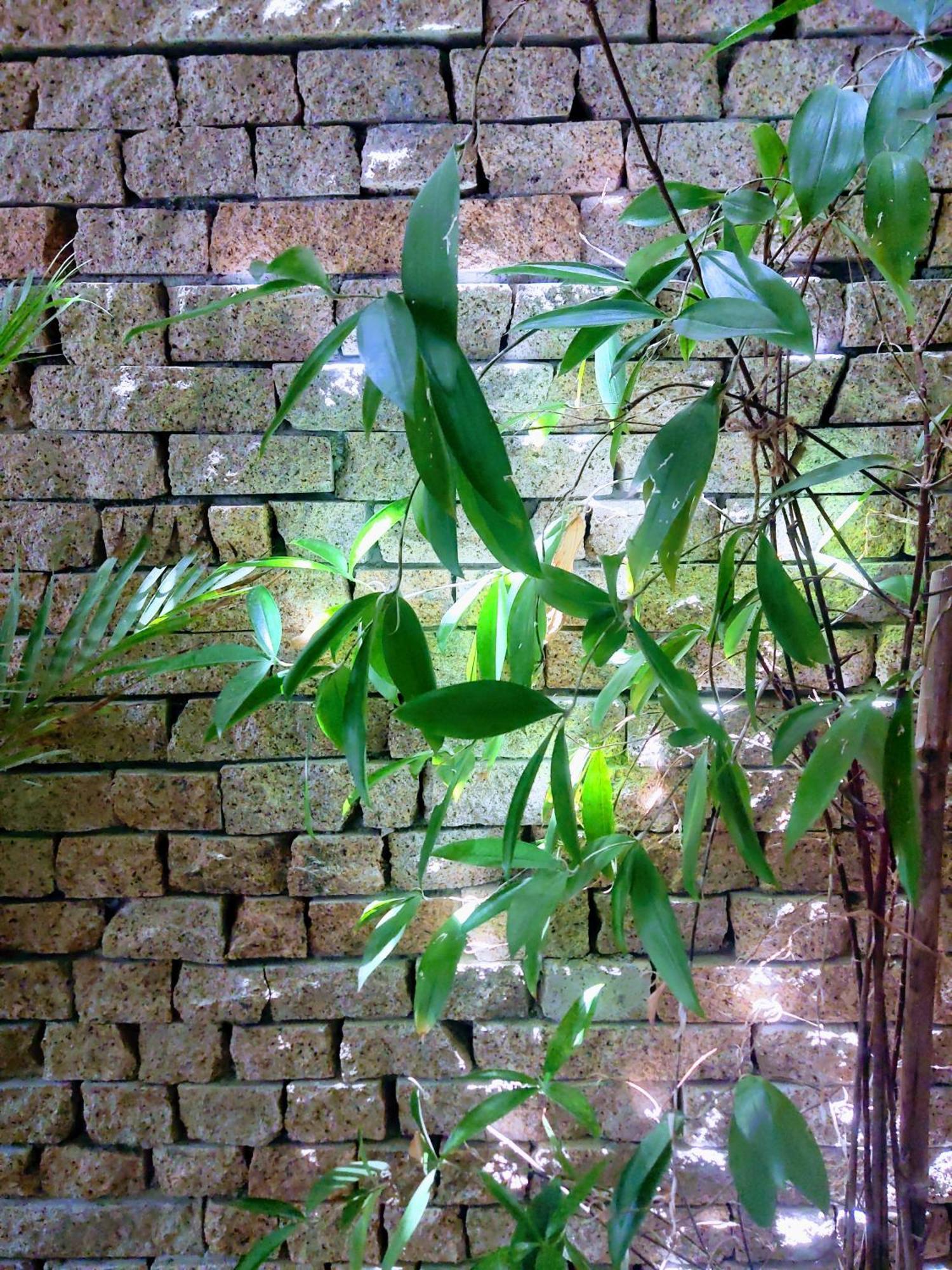 Nap Homestay Kinh Dinh エクステリア 写真