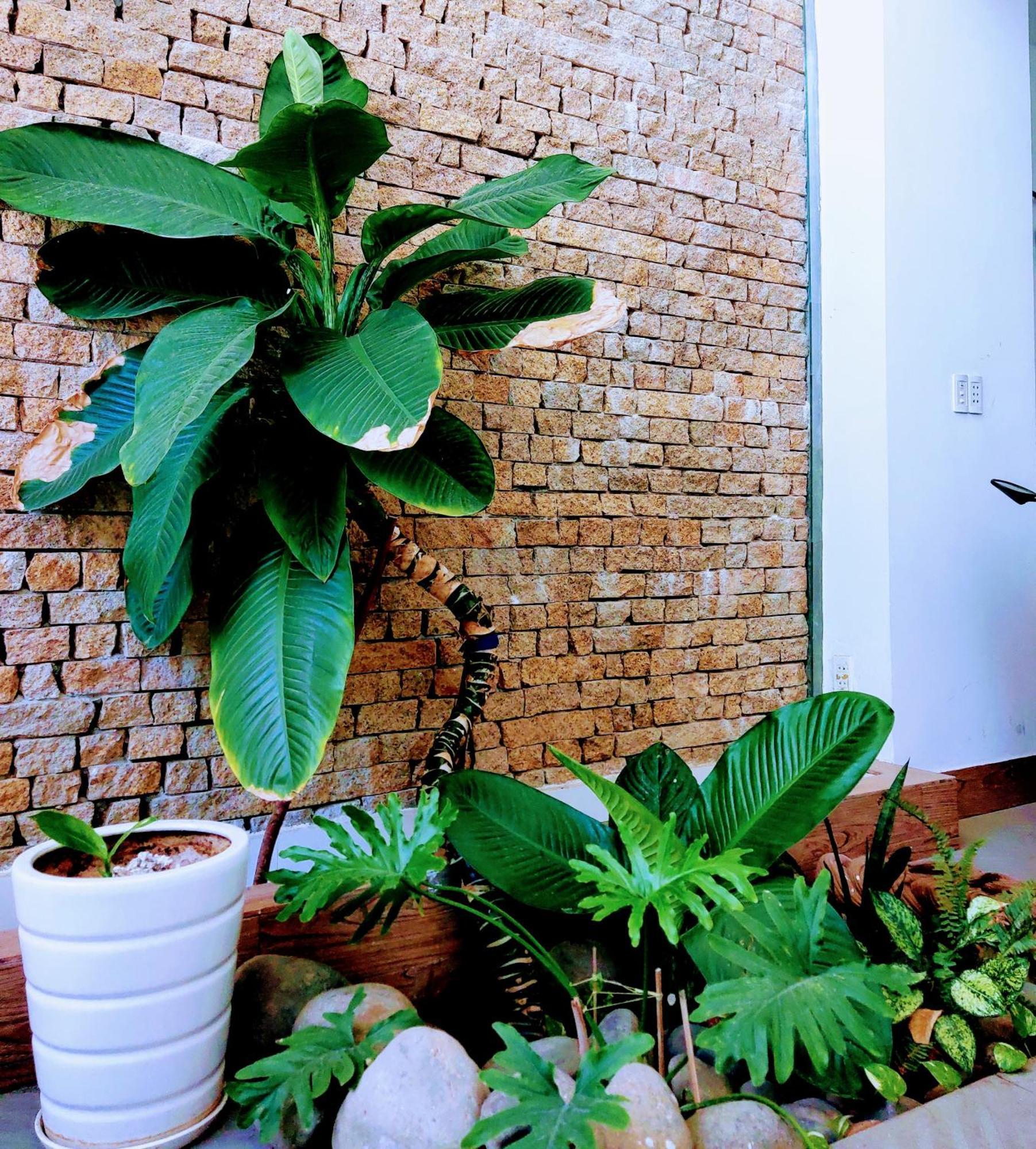 Nap Homestay Kinh Dinh エクステリア 写真